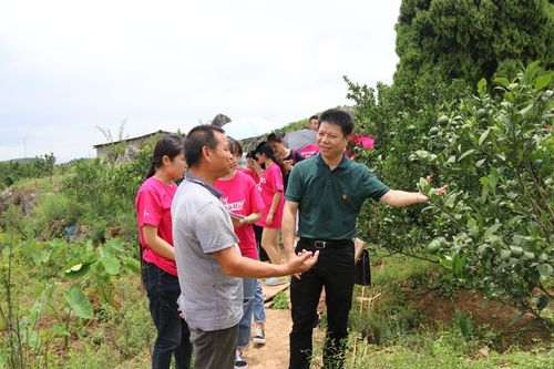 QQ图片20180715100948 QQ图片20180715100948