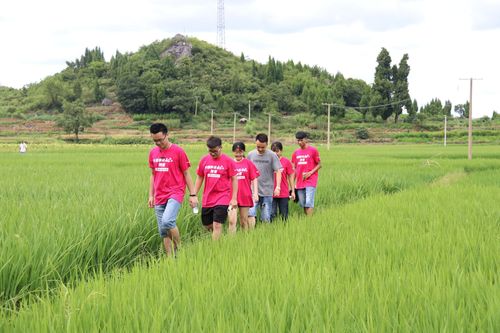 QQ图片20180715101137 QQ图片20180715101137