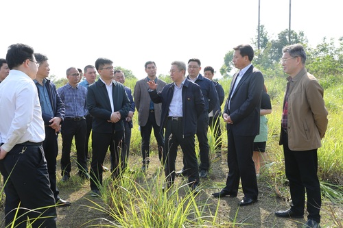 538A8131 - 副本 538A8131 - 副本