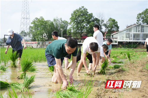 微信图片_20230614121402.jpg 微信图片_20230614121402.jpg