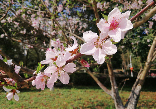 IMG_20180304_150757x