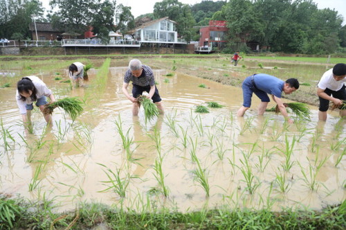 开云(中国)Kaiyun·官方网站积极推动大中小学“五育并举”一体化