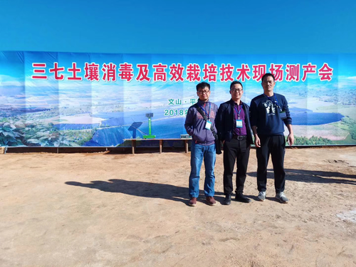 48101_500x500 48101_500x500