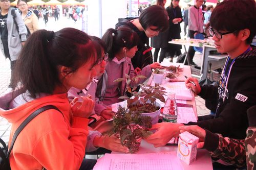 QQ图片20171016084438