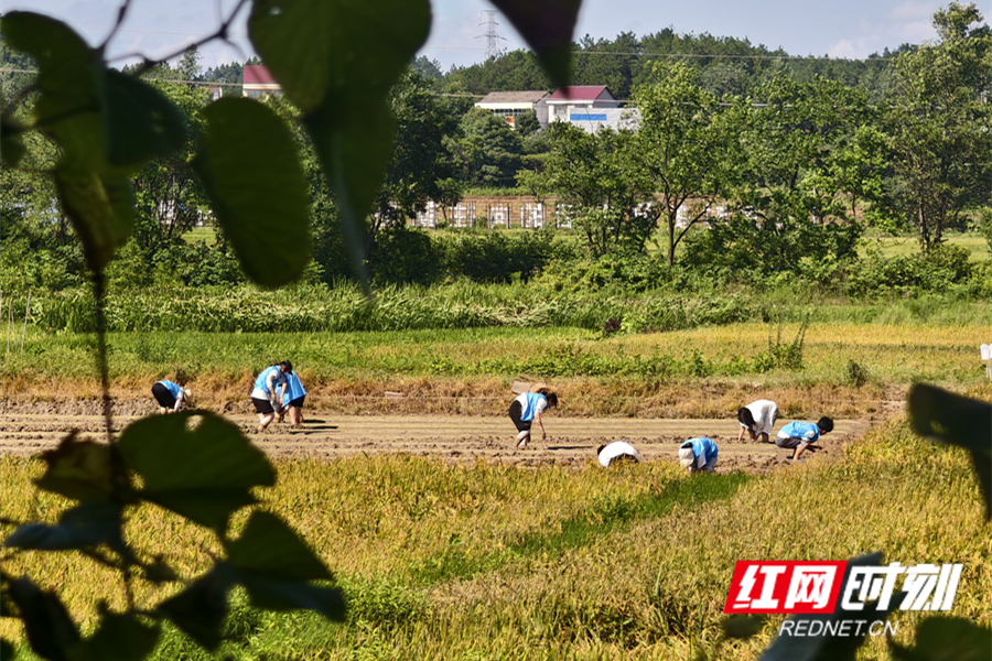 微信图片_20240706093839_副本.jpg 微信图片_20240706093839_副本.jpg