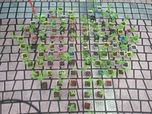 QQ图片20190415154110 QQ图片20190415154110