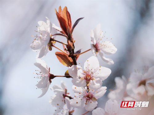 1678843021506-cjwuukqo6r