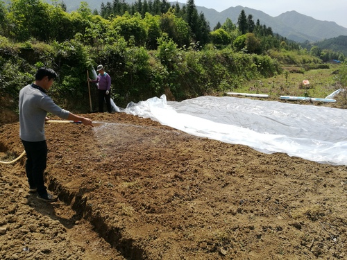 QQ图片20180410154910 QQ图片20180410154910